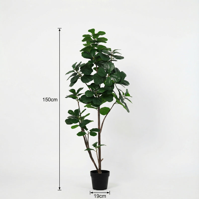 





Kunstplant Ficus Lyrata Vertakt | 150cm - Afbeelding 8
