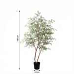 





Kunstplant Ficus Cassia | 180cm - Afbeelding 7
 thumbnail