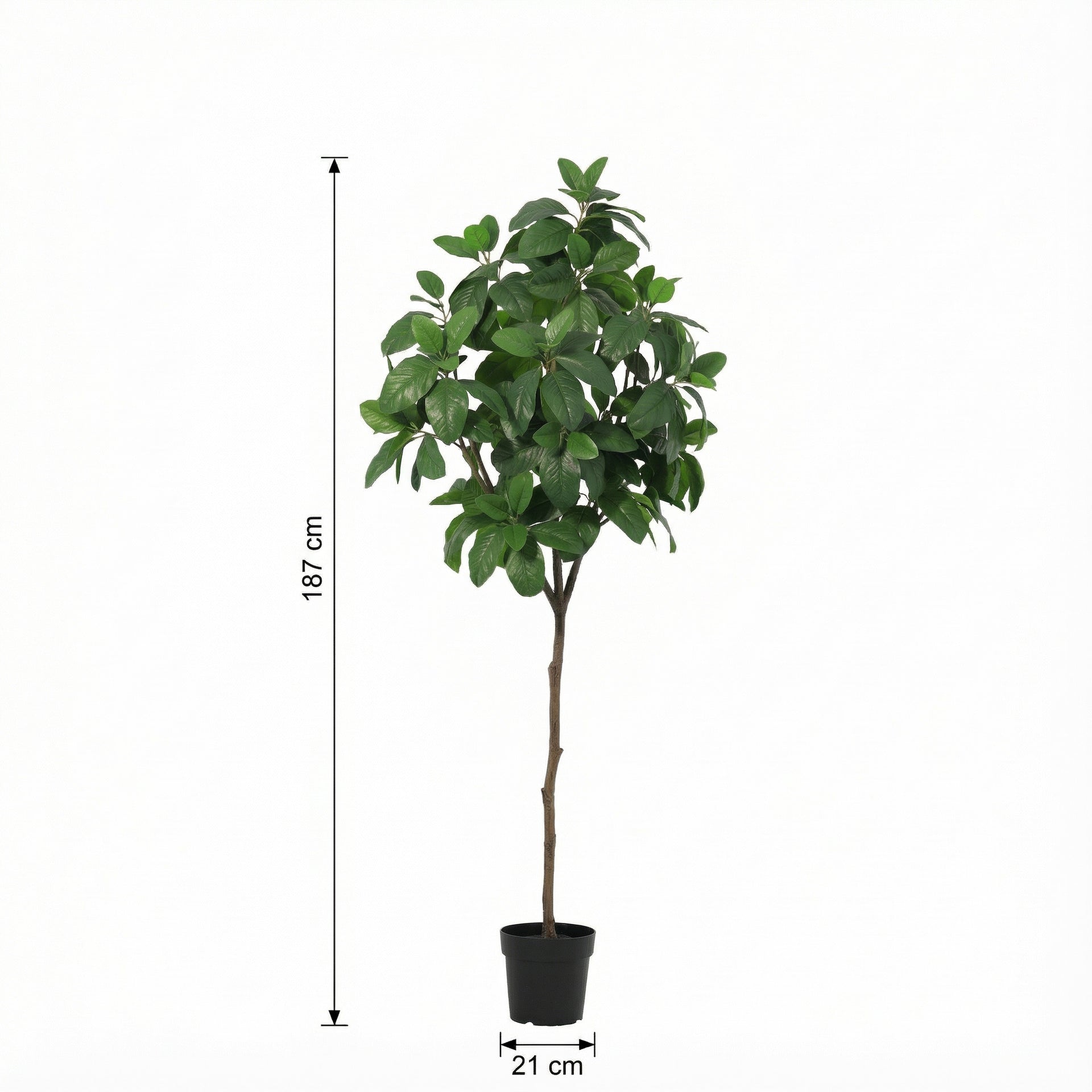 





Kunstplant Magnolia | 187cm - Afbeelding 6
