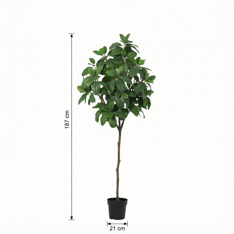 





Kunstplant Magnolia | 187cm - Afbeelding 6
