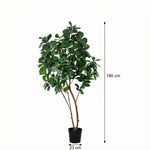 





Kunstplant Ficus Lyrata XL | 180cm - Afbeelding 7
 thumbnail
