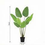 





Kunstplant Strelitzia | 153cm - Afbeelding 8
 thumbnail