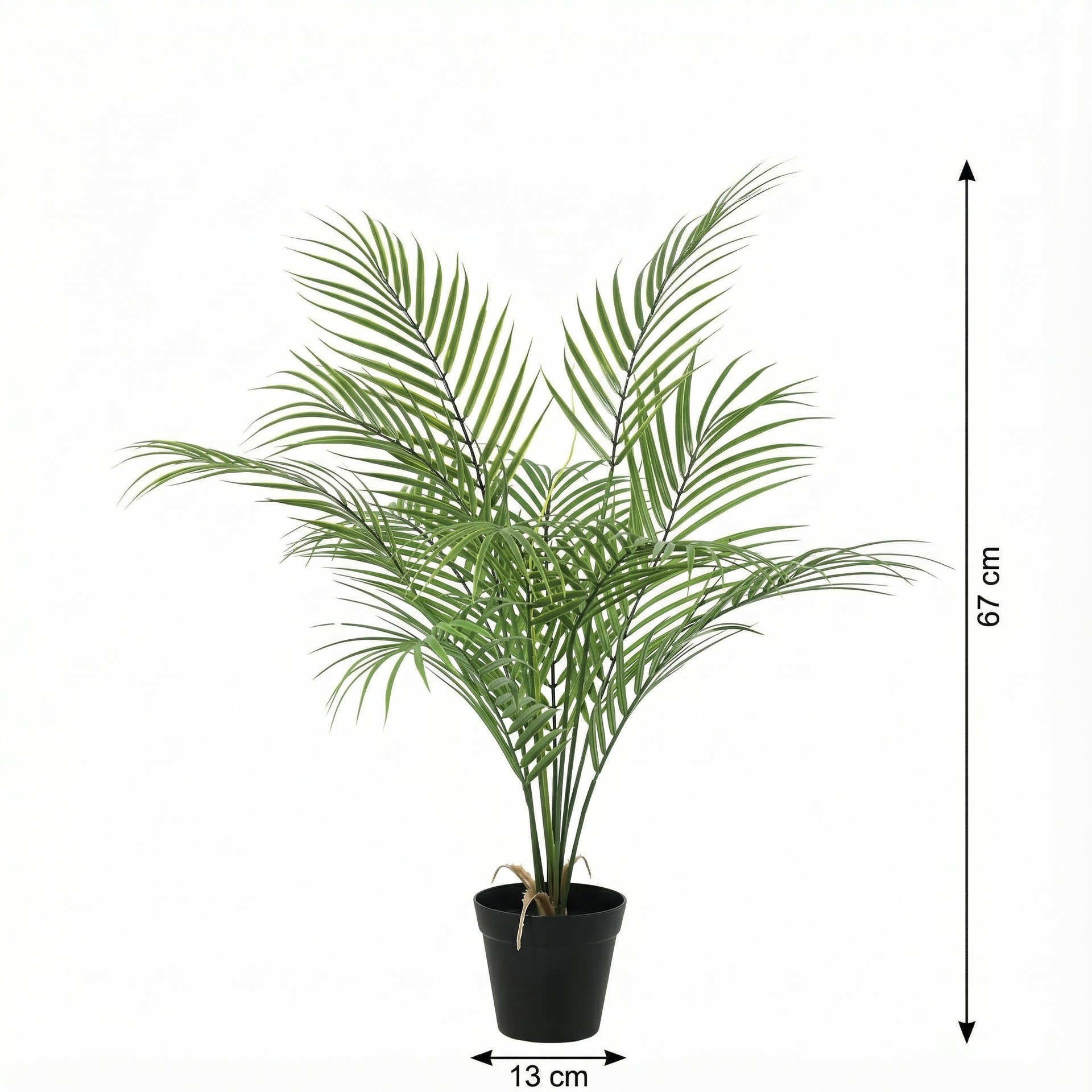 





Kunstplant Kentia | 67cm - Afbeelding 8
