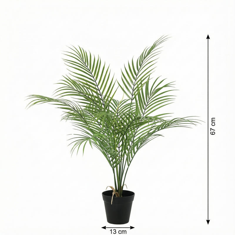 





Kunstplant Kentia | 67cm - Afbeelding 8
