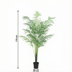 





Kunstplant Kentia Palm | 170cm - Afbeelding 7
 thumbnail