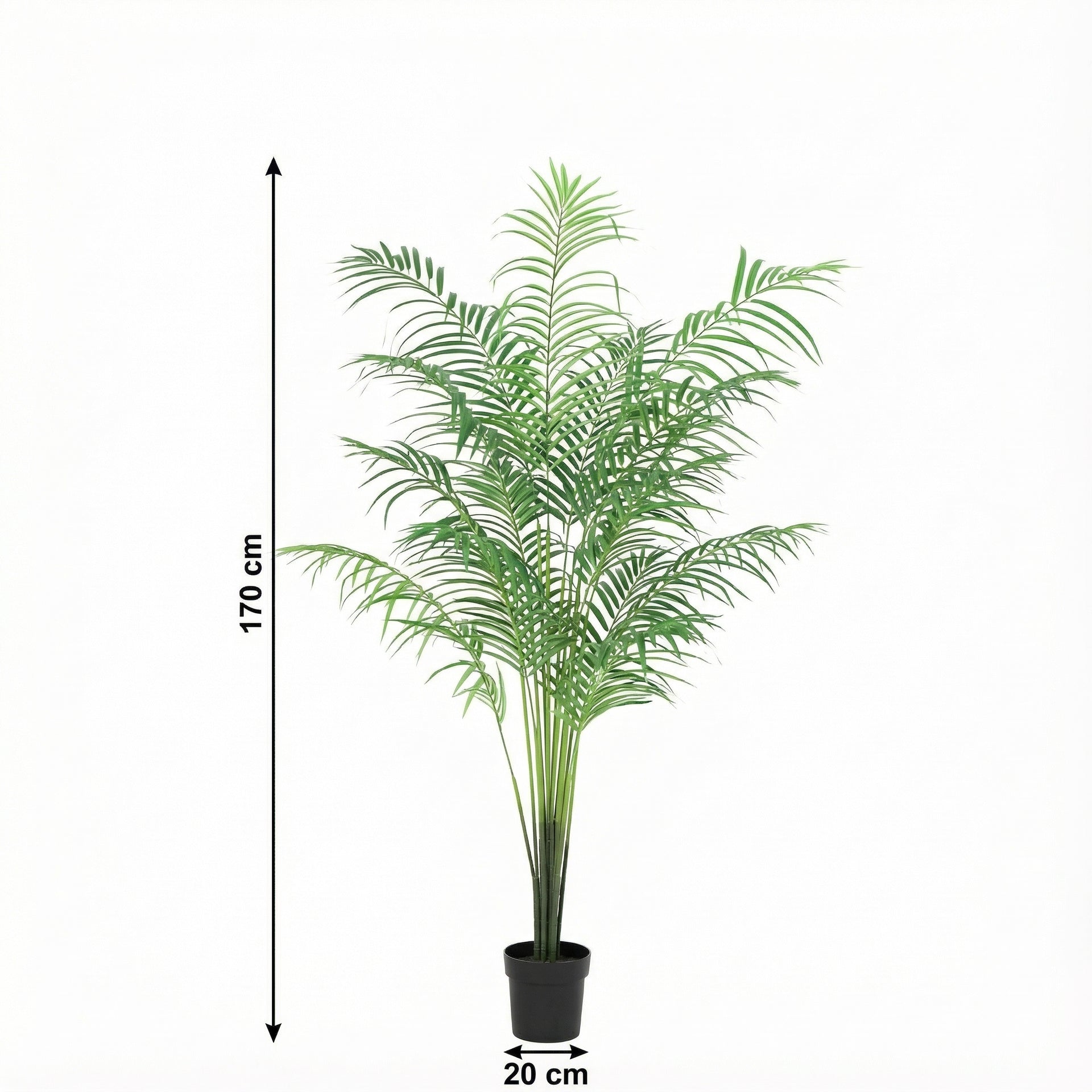 





Kunstplant Kentia Palm | 170cm - Afbeelding 7
