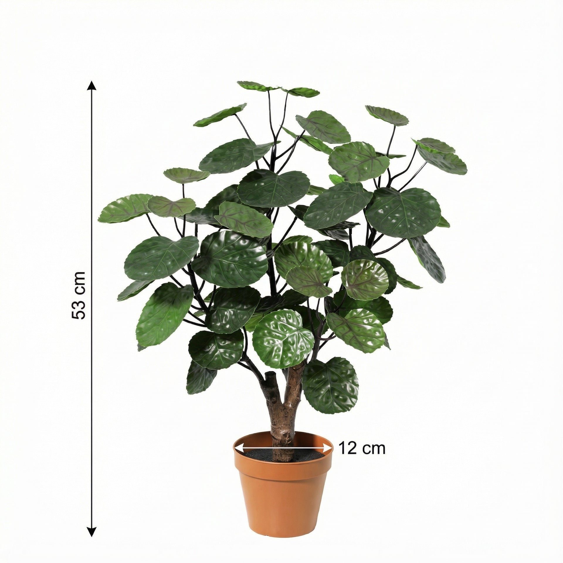 





Kunstplant Aralia | 53cm - Afbeelding 8
