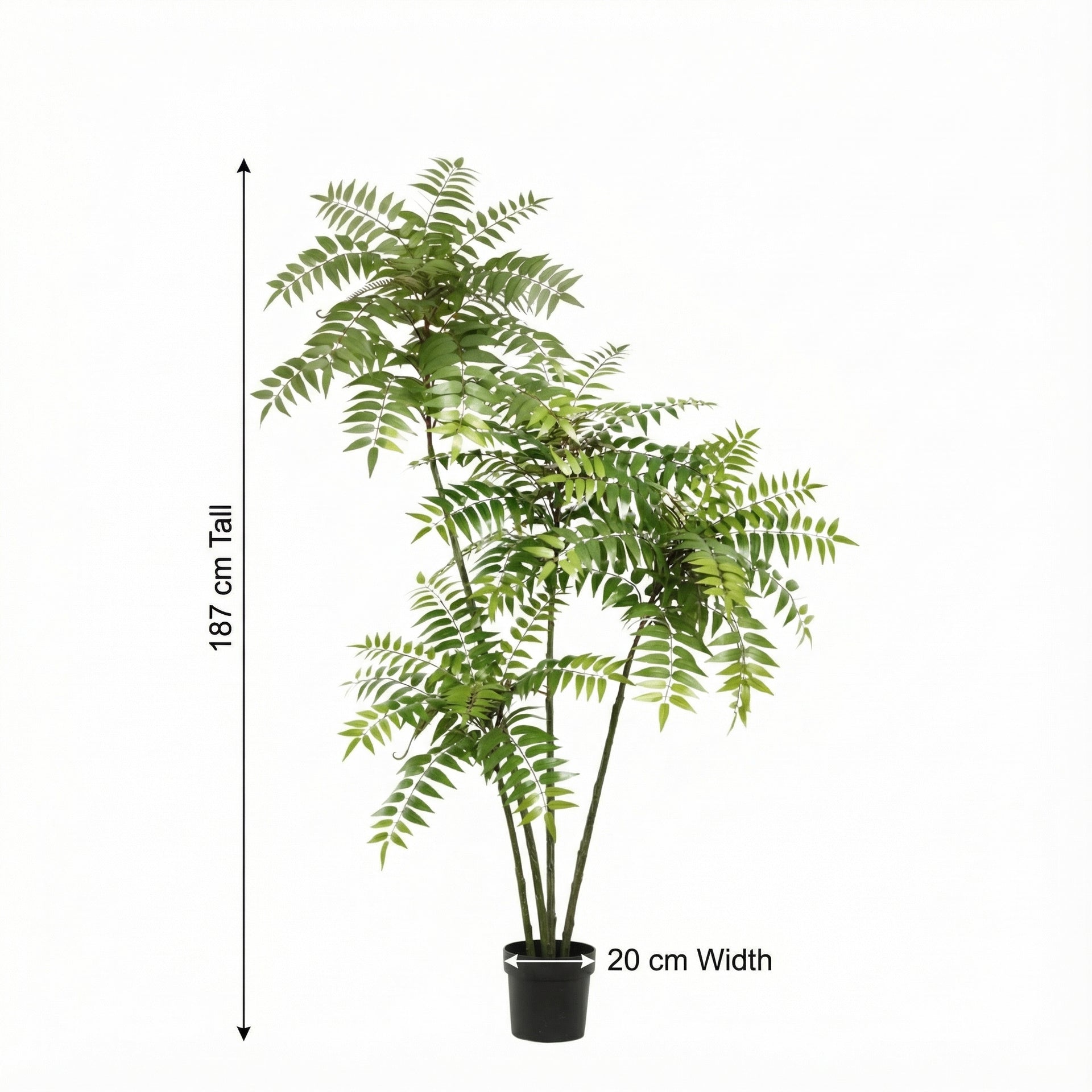 





Kunstplant Mahonia | 187cm - Afbeelding 8
