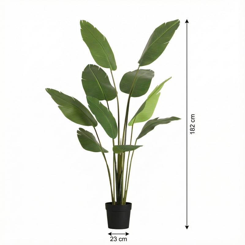 





Kunstplant Strelitzia | 182cm - Afbeelding 7
