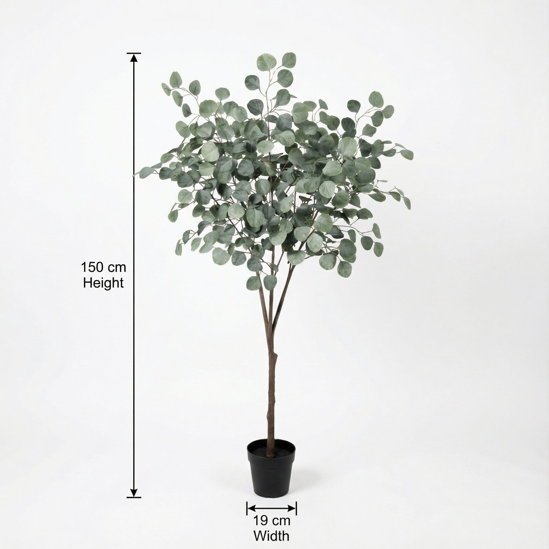 





Kunstplant Eucalyptus | 150cm - Afbeelding 8
