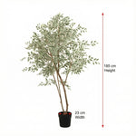 





Kunstpflanze Ficus Benjamina Variegata | 185cm - Afbeelding 7
 thumbnail