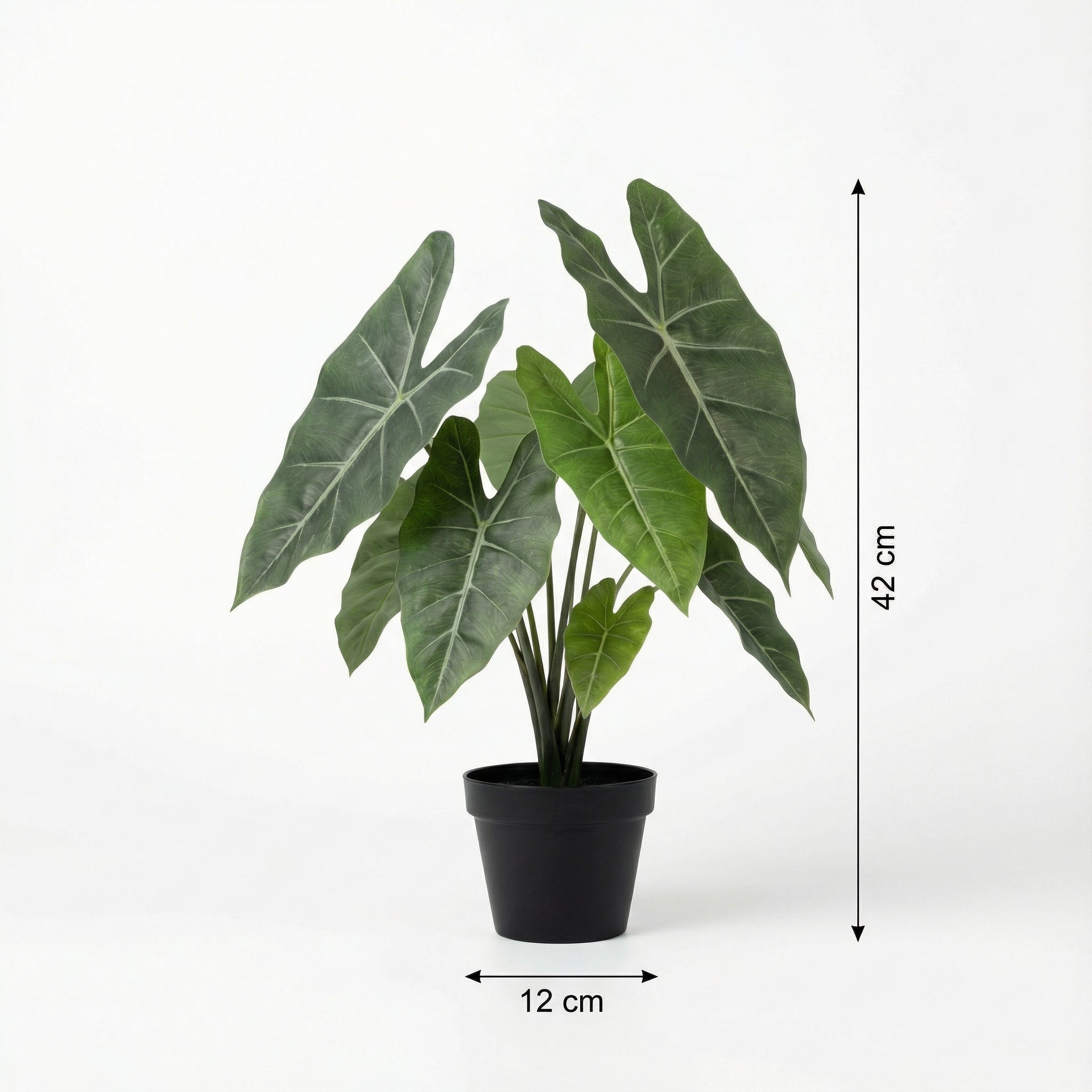 





Kunstplant Alocasia | 42cm - Afbeelding 8
