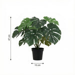 





Planta Artificial Monstera | 47cm - Afbeelding 8
 thumbnail