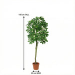 





Kunstplant Pachira | 150cm - Afbeelding 8
 thumbnail