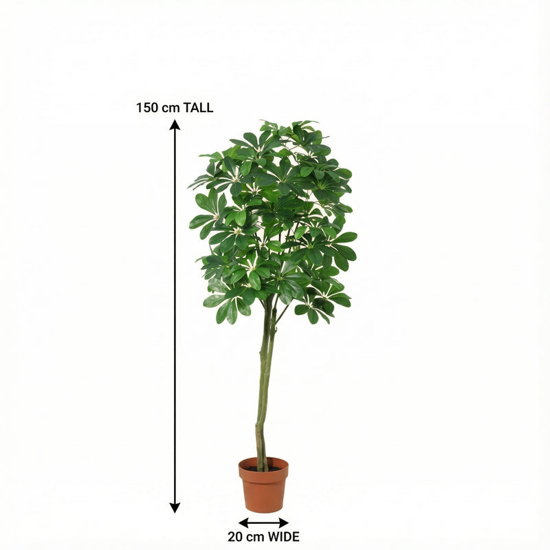 





Kunstplant Pachira | 150cm - Afbeelding 8
