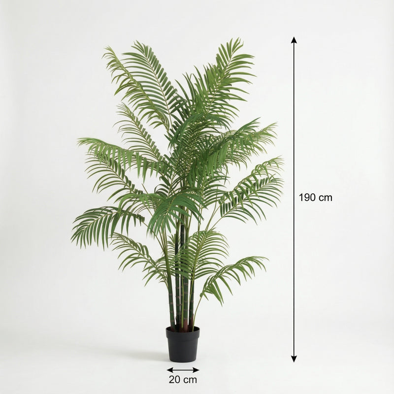 





Kunstpflanze Areca | 190cm - Afbeelding 7
