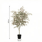 





Kunstplant Bucida | 165cm - Afbeelding 6
 thumbnail
