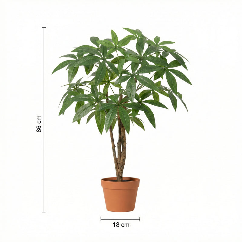 





Pianta Artificiale Pachira | 86cm - Afbeelding 8
