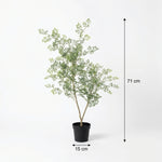 





Kunstplant Bucida | 71cm - Afbeelding 7
 thumbnail