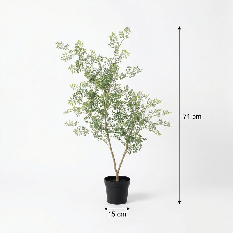 





Kunstplant Bucida | 71cm - Afbeelding 7
