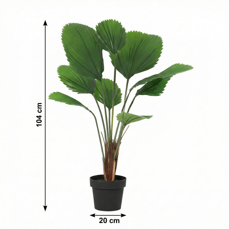 





Pianta Artificiale Licuala | 104cm - Afbeelding 7

