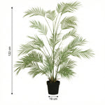 





Kunstplant Areca | 122cm - Afbeelding 7
 thumbnail