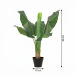 





Pianta Artificiale Bananenplant | 80cm - Afbeelding 7
 thumbnail