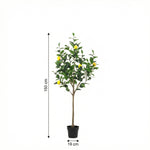 





Kunstplant Citroenboom | 150cm - Afbeelding 7
 thumbnail