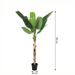 





Pianta Artificiale Bananenplant | 190cm - Afbeelding 7
 thumbnail