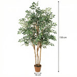 





Pianta Artificiale Ficus Exotica | 150cm - Afbeelding 7
 thumbnail