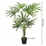 





Pianta Artificiale Rhapis | 120cm - Afbeelding 6
 thumbnail