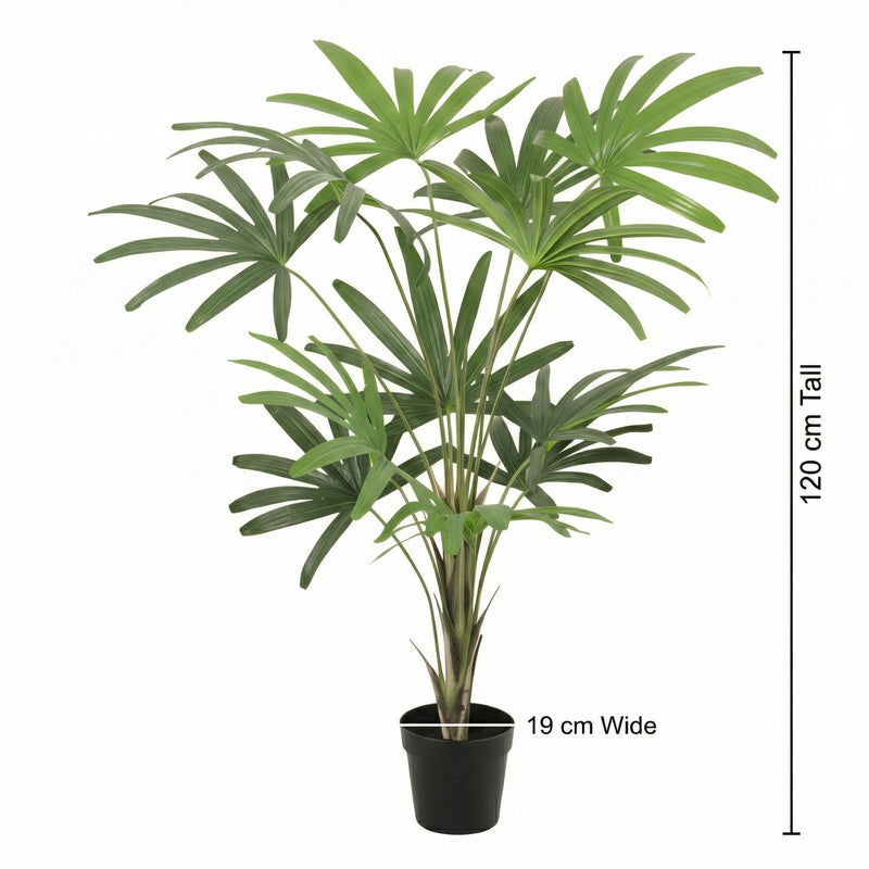 





Pianta Artificiale Rhapis | 120cm - Afbeelding 6
