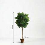 





Planta Artificial Ficus Lyrata | 160cm - Afbeelding 6
 thumbnail