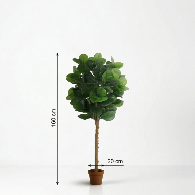 





Planta Artificial Ficus Lyrata | 160cm - Afbeelding 6
