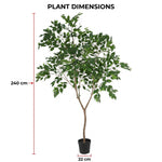 





Planta Artificial Ficus Benjamina | 240cm - Afbeelding 6
 thumbnail