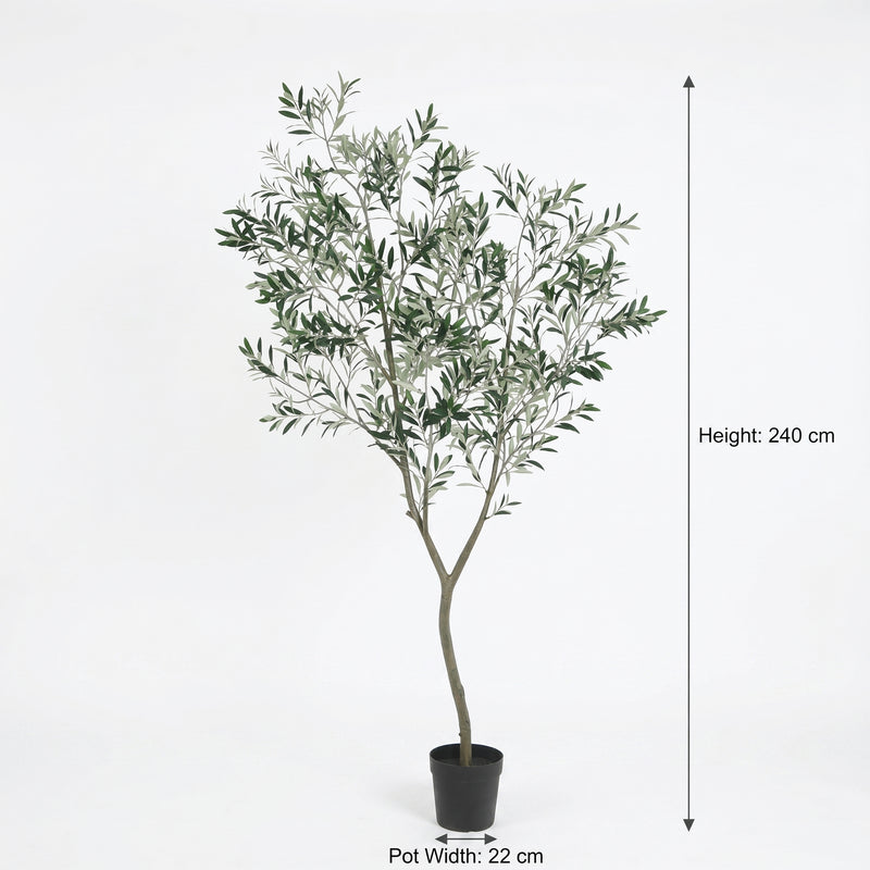 





Kunst Olijfboom | 240cm - Afbeelding 6
