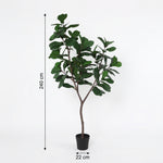 





Pianta artificiale Ficus Lyrata Albero | 240cm - Afbeelding 4
 thumbnail