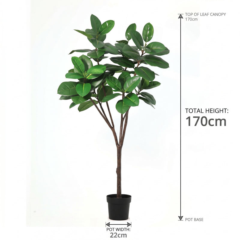 





Pianta artificiale Ficus Elastica Robusta | 170cm - Afbeelding 6

