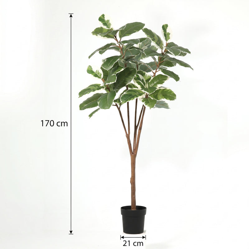 





Pianta artificiale Ficus Elastica Tineke | 170cm - Afbeelding 6

