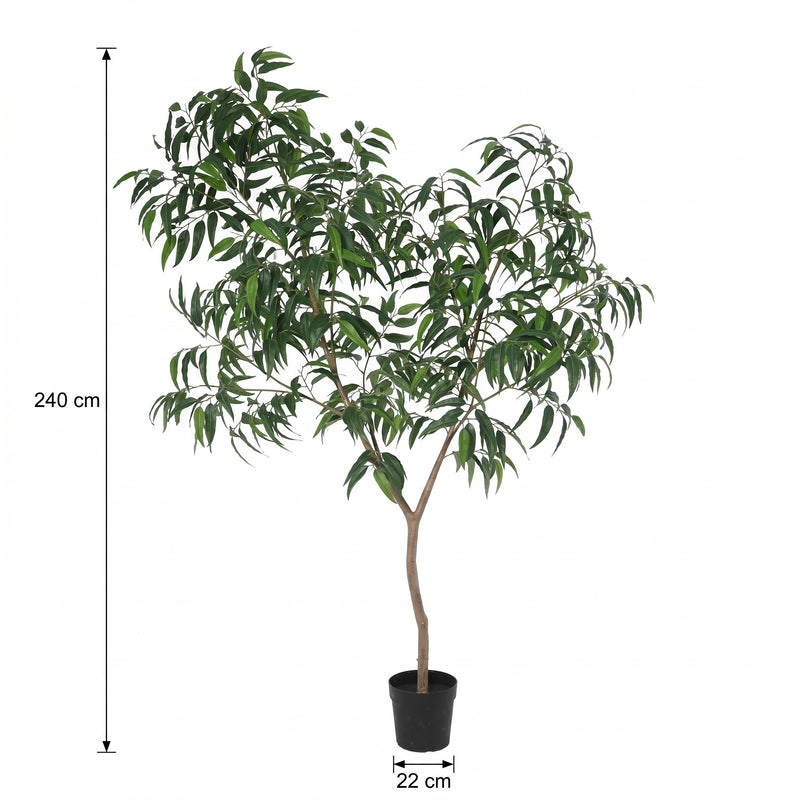 





Pianta artificiale Ficus Alii King | 240cm - Afbeelding 4
