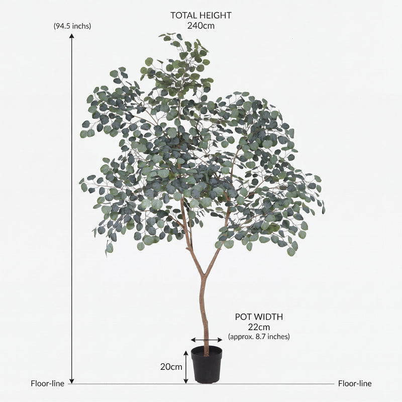 





Kunstplant Eucalyptus | 240cm - Afbeelding 5
