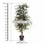 





Kunstplant Ficus Benjamina | 130cm - Afbeelding 6
 thumbnail