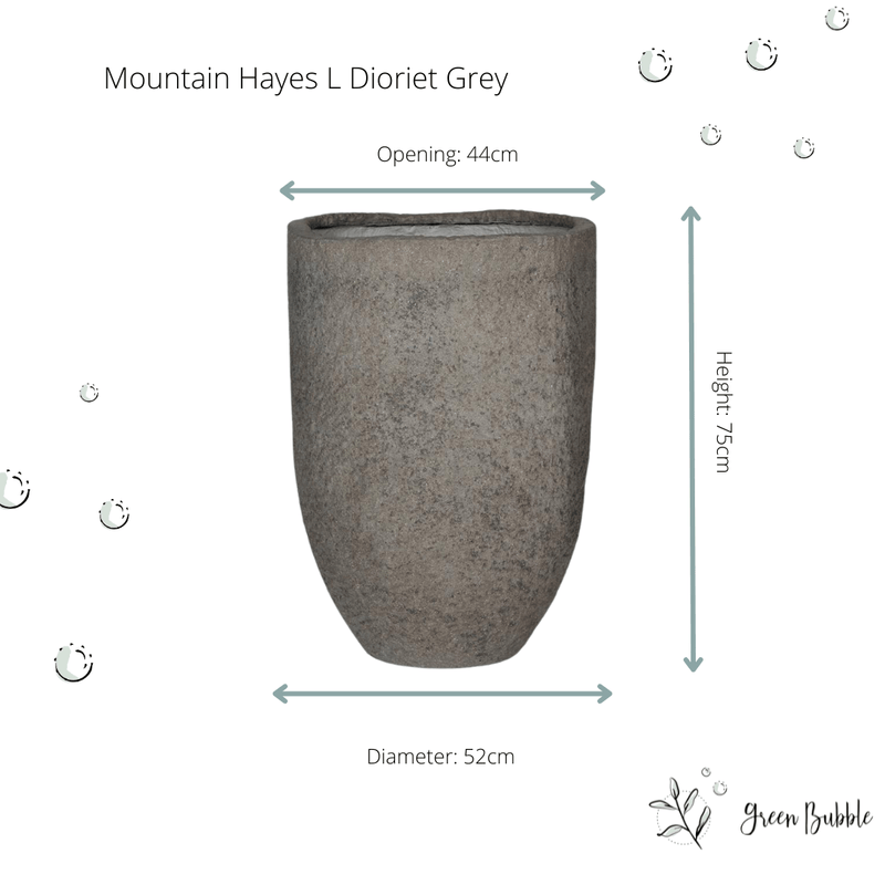 





Pot Mountain Hayes - Lifestyle foto kunstplant in interieur
