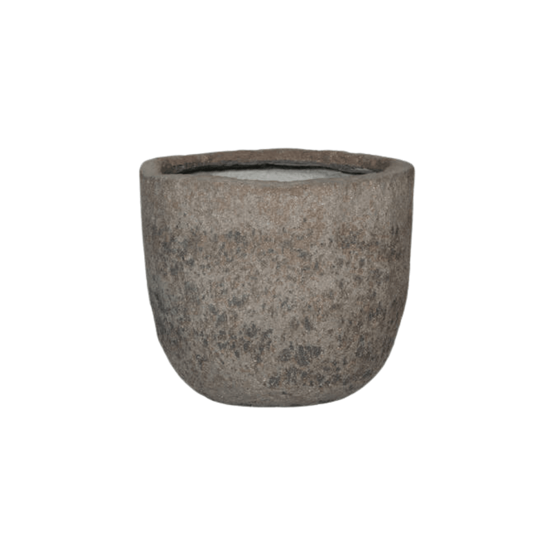 





Pot Mountain Russel - Premium kunstplant van Florafy

