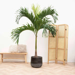 





Pot Elisa Mystic Earth - Detail view kunstplant
 thumbnail