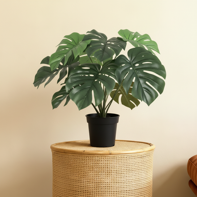 Kunstplant Monstera | 47cm