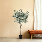 





Kunstplant Eucalyptus | 150cm - Lifestyle foto kunstplant in interieur
 thumbnail