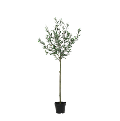 Minimalistische Mix Kunstplanten Set - Bucida Cassia en Olijfboom van Florafy - Foto 2