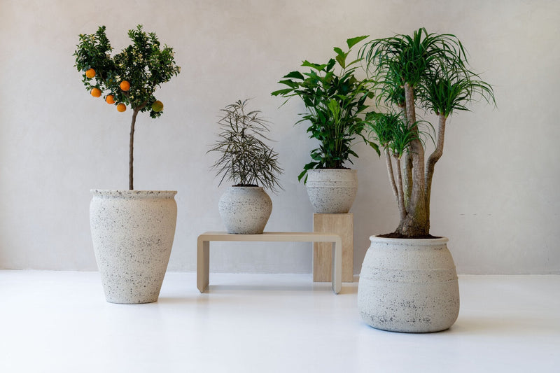





Pot Athena - Lifestyle foto kunstplant in interieur
