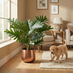 





Kunstplant Philodendron Selloum | 70cm - Afbeelding 6
 thumbnail